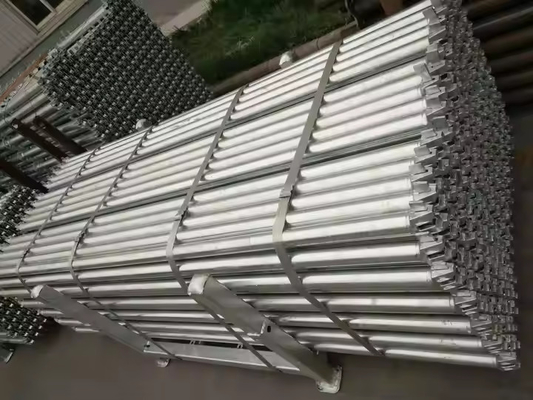 Ringlock steigeronderdelen Ledger horizontaal van China fabrikant