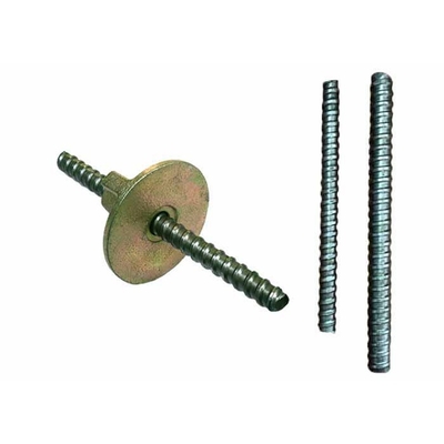 D12/D15/D17/D20 Q235/Q345 Vormwerk Kettingnoot Met gegalvaniseerde vleugelnoot Compatibiliteit