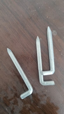 L-vormige hoofd vierkant nagels met warm gedompeld gegalvaniseerd oppervlak 30-60 mm