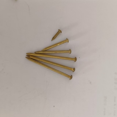 Speciale constructie nagel aangepaste lengte 15 mm-120 mm